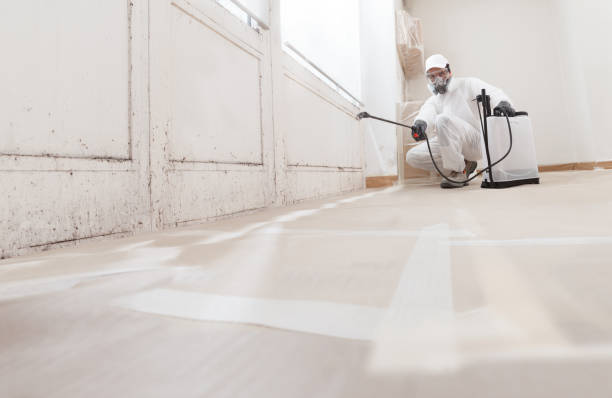 24/7 Emergency Basement Mold Removal experts in Gaston, NC